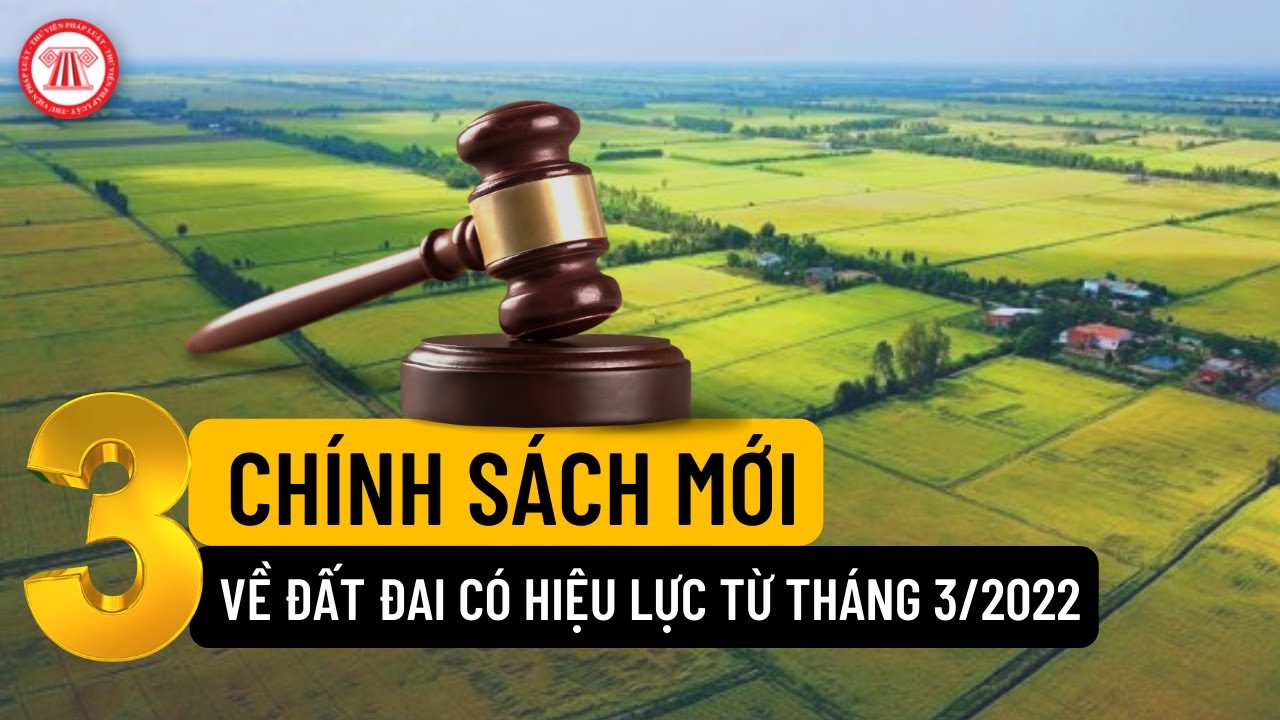 chinh sach luiat