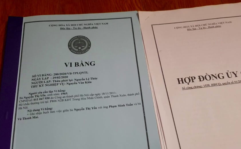 vi bang nha dat la gi 1